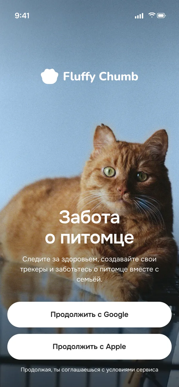 Экран входа: рыжий кот и белая кнопка «Войти через Google»